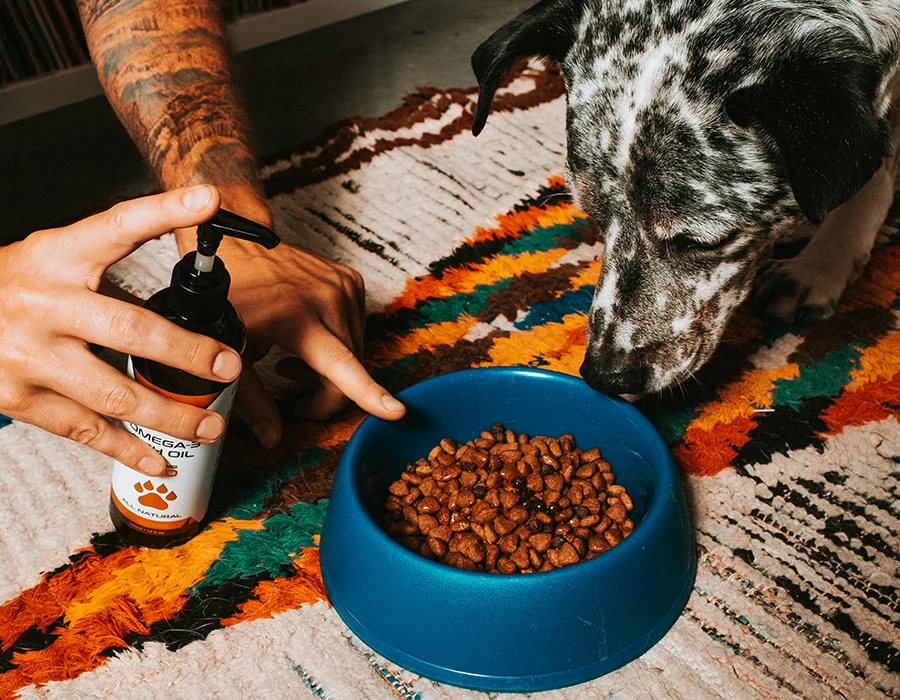 Fish Oil for Pets Omega-3 1000mg - Image 2