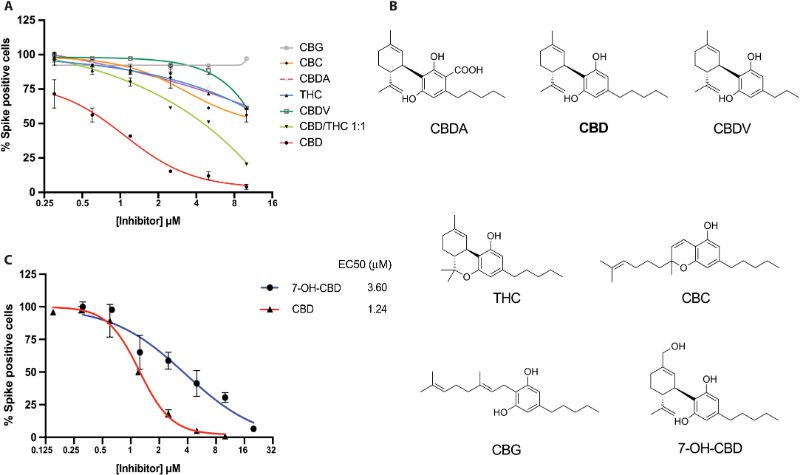 cbd for covid